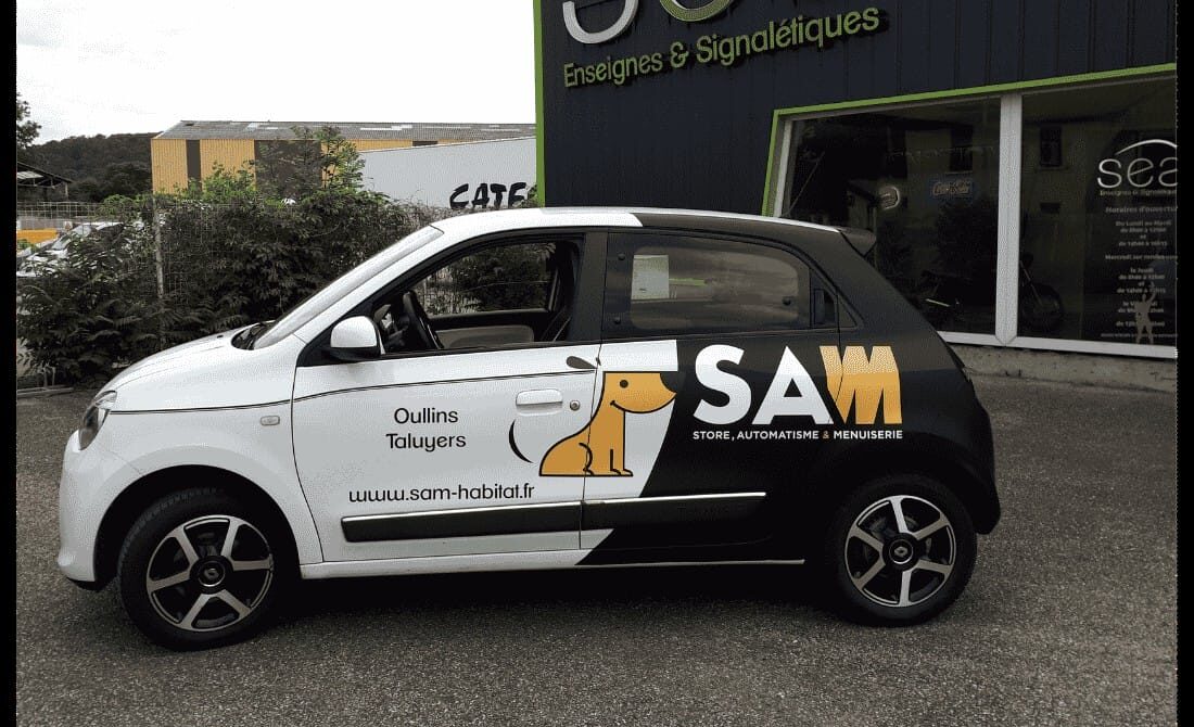 Flocage de véhicule – Twingo SAM